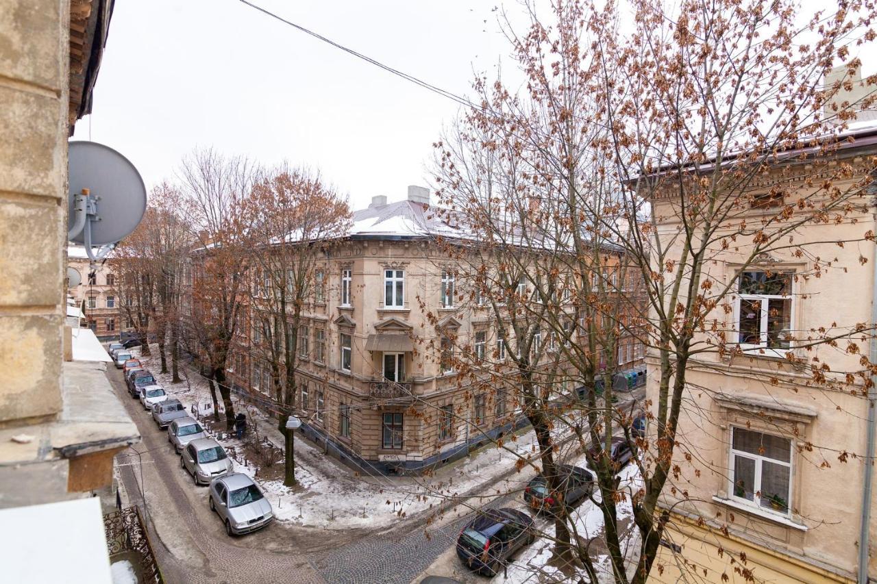 Chopin Apartment In The Center Of Lviv Kültér fotó